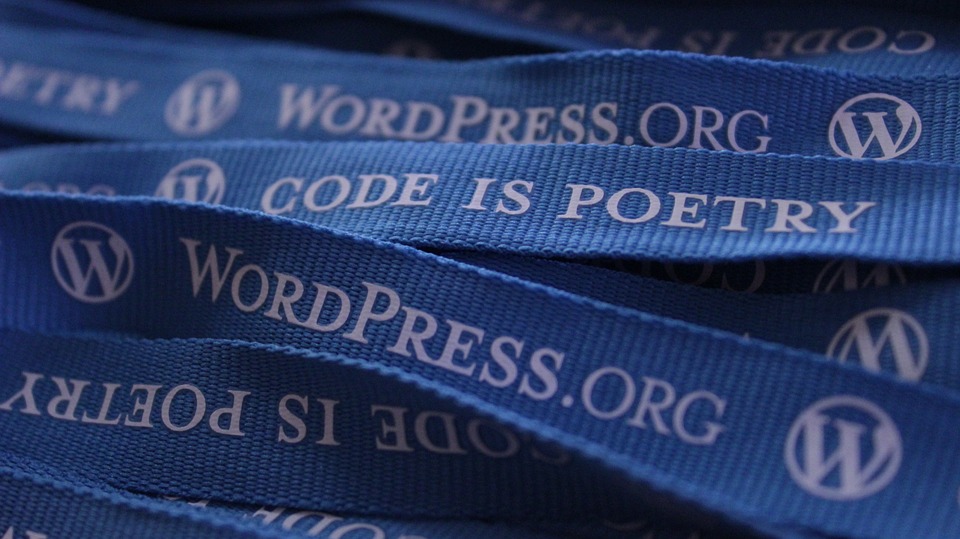 Lanyards des CMS-Dienstes wordpress.org als Symbolbild für freie Software